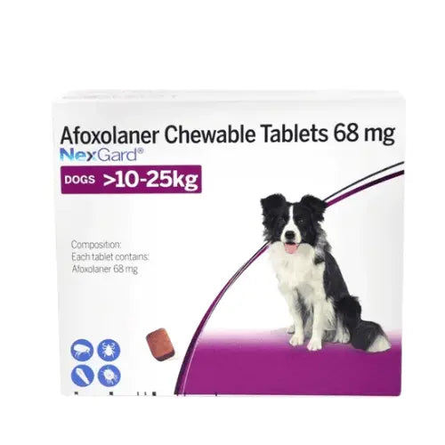 NexGard Chewable Flea & Tick Prevention Tablet for Dogs 10–25kg