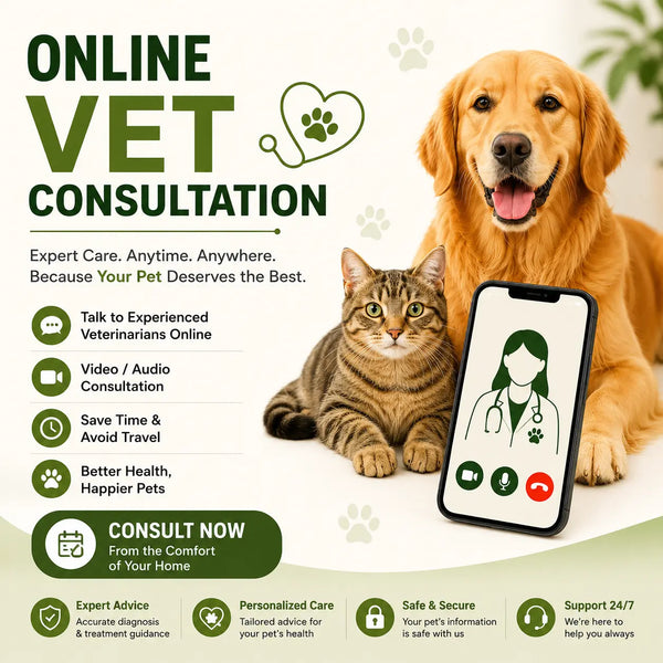 Online Vet Consultation for Dogs, Cats & Pets