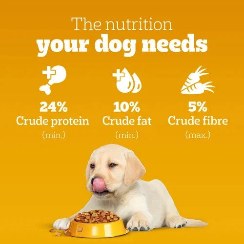 Pedigree Chicken and Milk Puppy Dog Dry Food Dog Pedigree 