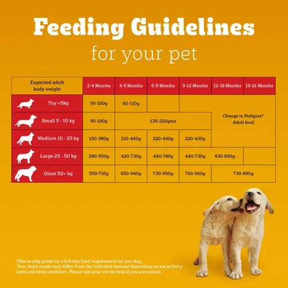 Pedigree Chicken and Milk Puppy Dog Dry Food Dog Pedigree 
