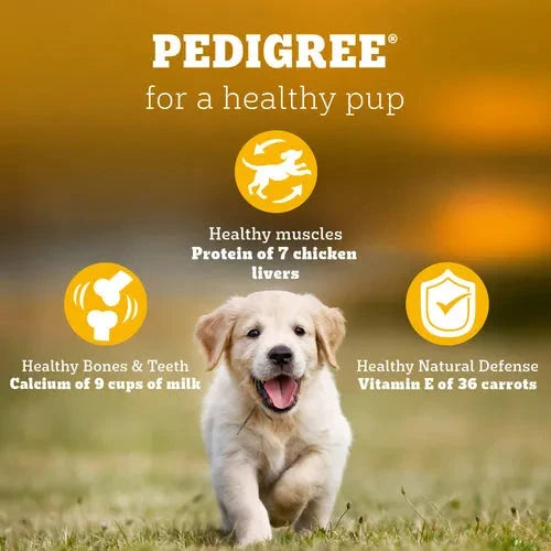 Pedigree Chicken and Milk Puppy Dog Dry Food Dog Pedigree 
