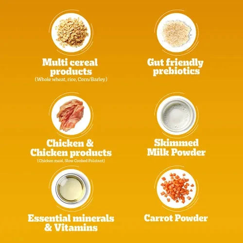 Pedigree Chicken and Milk Puppy Dog Dry Food Dog Pedigree 