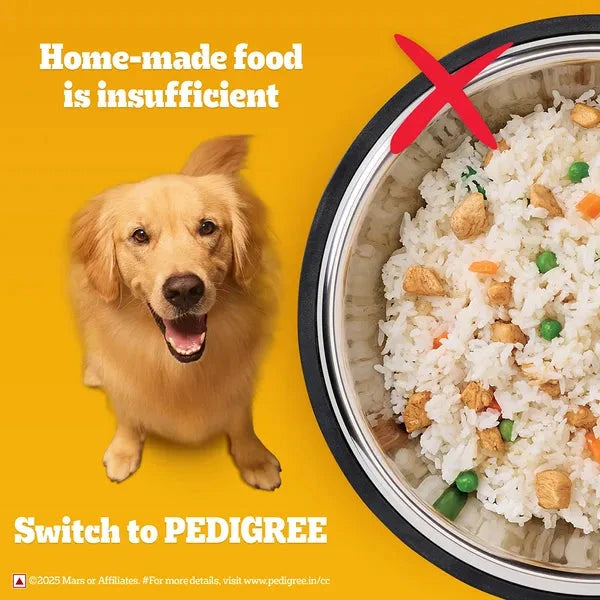Pedigree Chicken and Vegetables Adult Dog Dry Food Dog Pedigree 