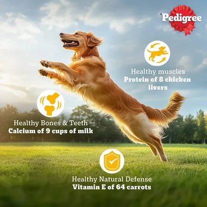 Pedigree Chicken and Vegetables Adult Dog Dry Food Dog Pedigree 