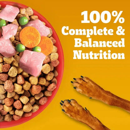 Pedigree Chicken and Vegetables Adult Dog Dry Food Dog Pedigree 