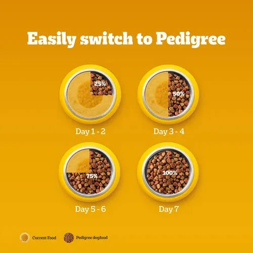 Pedigree Chicken and Vegetables Adult Dog Dry Food Dog Pedigree 