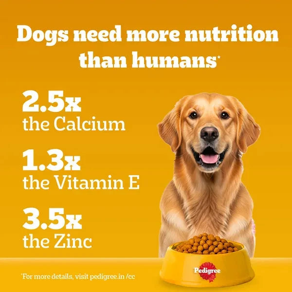 Pedigree Chicken and Vegetables Adult Dog Dry Food Dog Pedigree 
