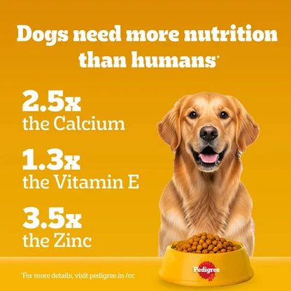 Pedigree Chicken and Vegetables Adult Dog Dry Food Dog Pedigree 