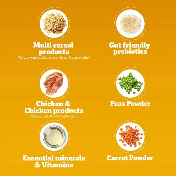 Pedigree Chicken and Vegetables Adult Dog Dry Food Dog Pedigree 