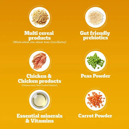 Pedigree Chicken and Vegetables Adult Dog Dry Food Dog Pedigree 