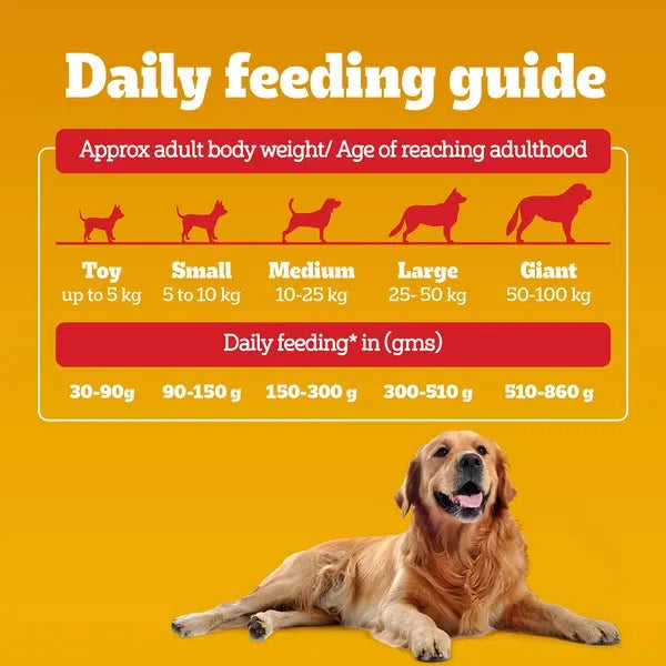 Pedigree Chicken and Vegetables Adult Dog Dry Food Dog Pedigree 