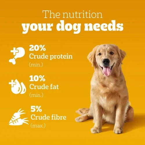 Pedigree Meat & Rice Adult Dog Dry Food Dog Pedigree 
