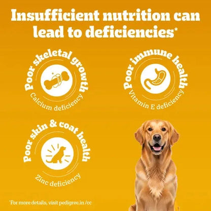 Pedigree Meat & Rice Adult Dog Dry Food Dog Pedigree 