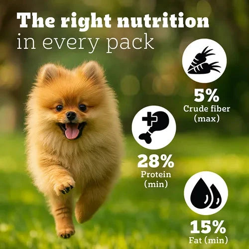 Pedigree PRO Expert Nutrition Small Breed Puppy (2 to 9 Months) Dry Food Dog Pedigree 