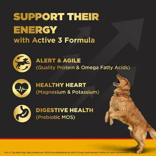 Pedigree PROCARE Active Adult Large Breed Dry Food Dog Pedigree 