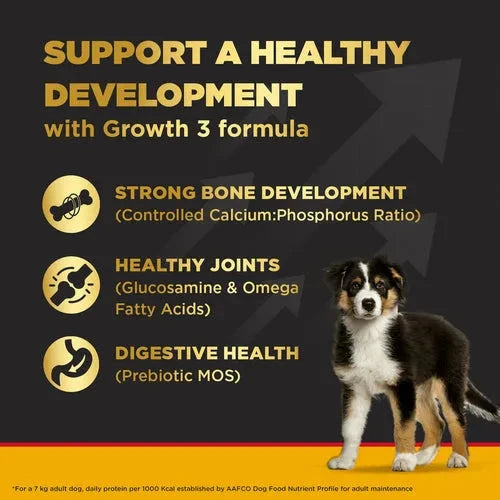 Pedigree PROCARE Large Breed Puppy Dry Food Dog Pedigree 