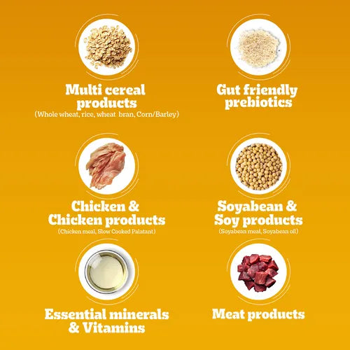 Pedigree Chicken Biryani flavor adult dog dry food bag with colorful packaging and images of dogs and chicken flavor.