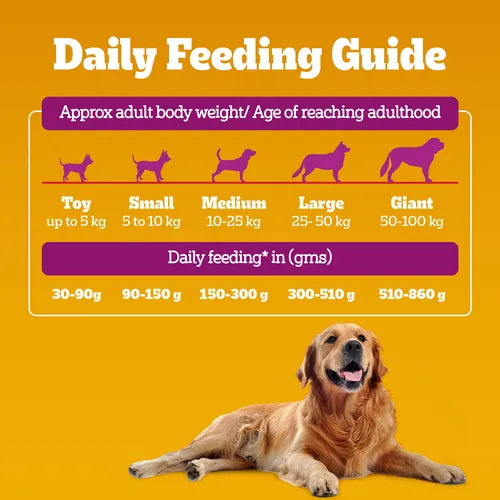 Pedigree Chicken Biryani flavor adult dog dry food bag with dog food kibble in a bowl, showcasing the product packaging and kibble.