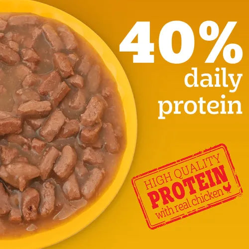 Wet dog food with chicken chunks in gravy