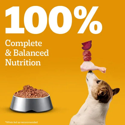 Pedigree chicken and liver chunks in gravy adult dog wet food in 130g can, showing tender meat pieces in savory gravy.