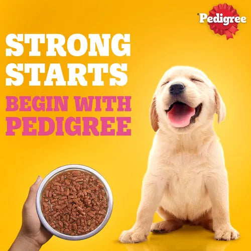 Pedigree puppy wet dog food chicken gravy