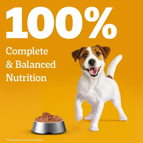 Pedigree puppy wet dog food chicken gravy