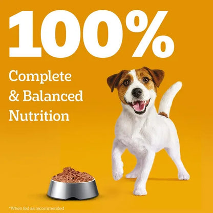 Pedigree puppy wet dog food chicken gravy