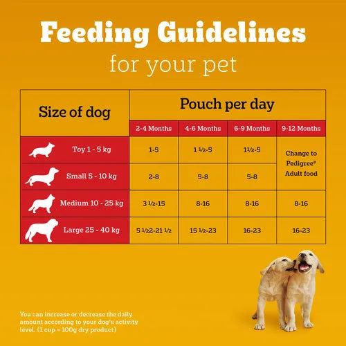 Pedigree puppy dog wet food pouch with chicken and liver chunks in gravy, 130g, suitable for puppies.