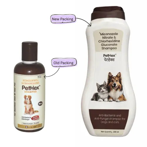 Petcare PetHex Shampoo for Dogs | Antibacterial & Antifungal Medicated Shampoo