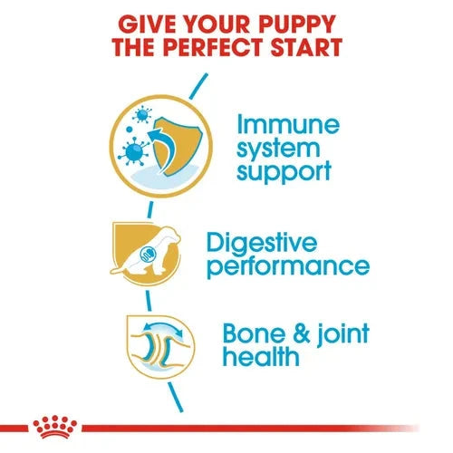 Royal Canin German Shepherd Puppy Dry Food Dog Royal Canin 