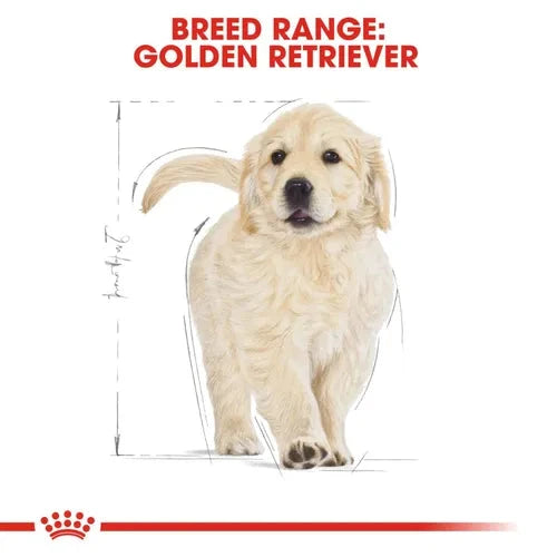 Royal Canin Golden Retriever Puppy Dog Dry Food - Life Care Pet Zone