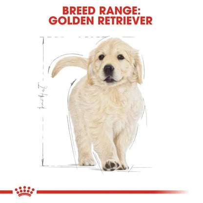 Royal Canin Golden Retriever Puppy Dog Dry Food - Life Care Pet Zone