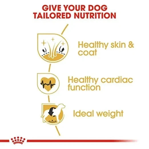 Royal Canin Golden Retriver Adult Dog Dry Food - Life Care Pet Zone