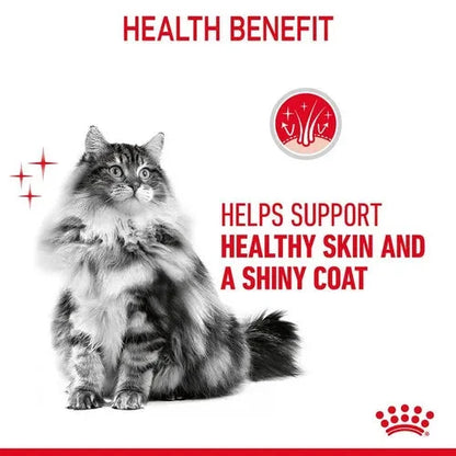 Royal Canin Hair & Skin Care Adult Gravy Cat Wet Food Cat Royal Canin 
