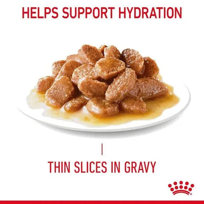 Royal Canin Hair & Skin Care Adult Gravy Cat Wet Food Cat Royal Canin 