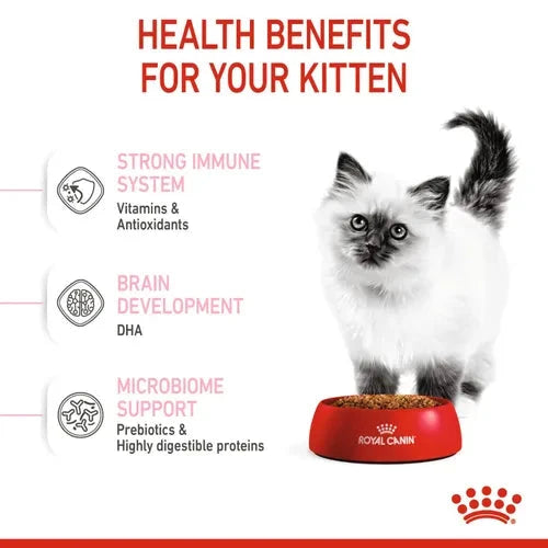 Royal Canin Kitten Cat Dry Food Cat Life Care Pet Zone 