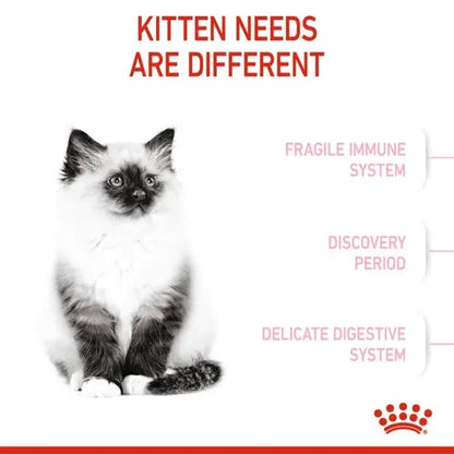 Royal Canin Kitten Cat Dry Food Cat Life Care Pet Zone 