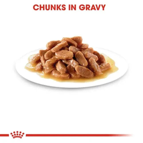 Royal Canin Kitten Wet Food in Gravy (85g Pouch) Cat Royal Canin 