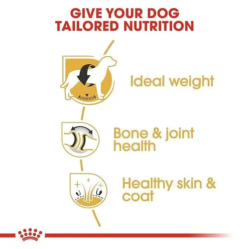 Royal Canin Labrador Retriever Adult Dog Dry Food Dog Royal Canin 
