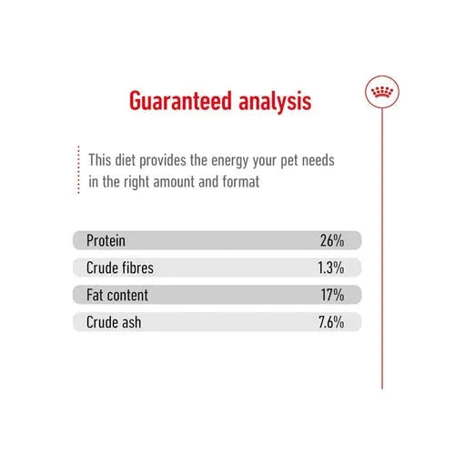 Royal Canin Maxi Adult Dog Dry Food Dog Royal Canin 