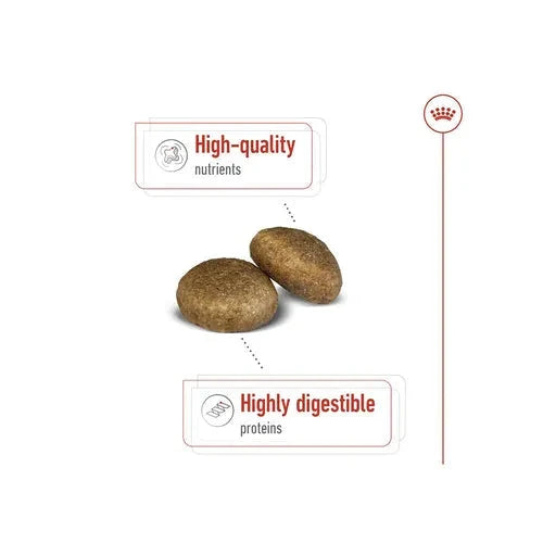 Royal Canin Maxi Adult Dog Dry Food Dog Royal Canin 