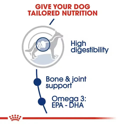 Royal Canin Maxi Adult Dog Dry Food Dog Royal Canin 