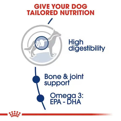 Royal Canin Maxi Adult Dog Dry Food Dog Royal Canin 