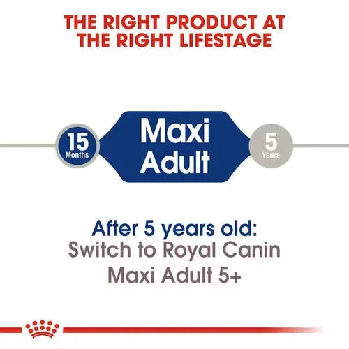 Royal Canin Maxi Adult Dog Dry Food Dog Royal Canin 