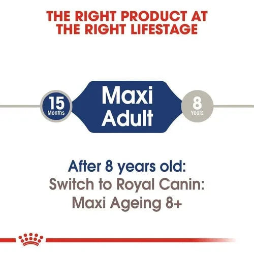 Royal Canin Maxi Adult Dog Wet Food Dog Royal Canin 
