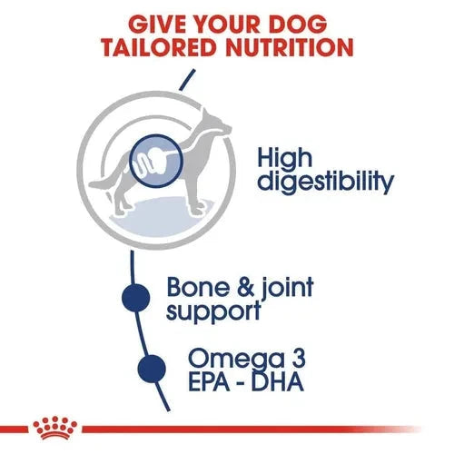 Royal Canin Maxi Adult Dog Wet Food Dog Royal Canin 