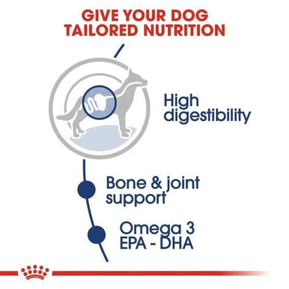 Royal Canin Maxi Adult Dog Wet Food Dog Royal Canin 