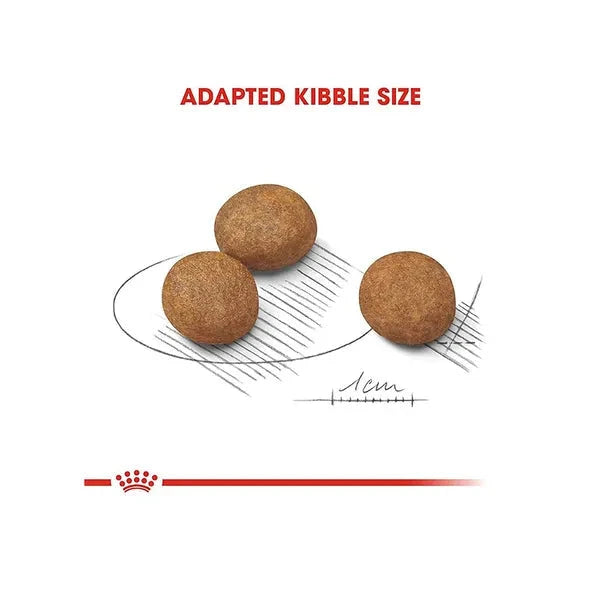 Royal Canin Maxi Puppy Dog Dry Food - Life Care Pet Zone