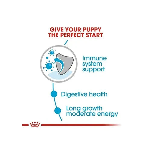 Royal Canin Maxi Puppy Dog Wet Food Dog Royal Canin 