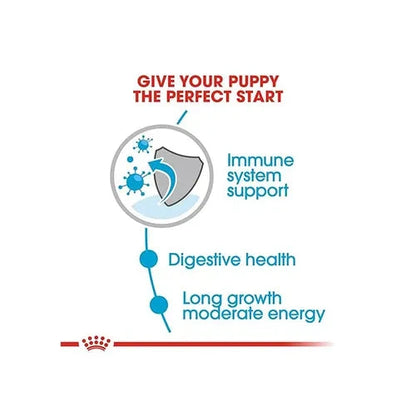 Royal Canin Maxi Puppy Dog Wet Food Dog Royal Canin 